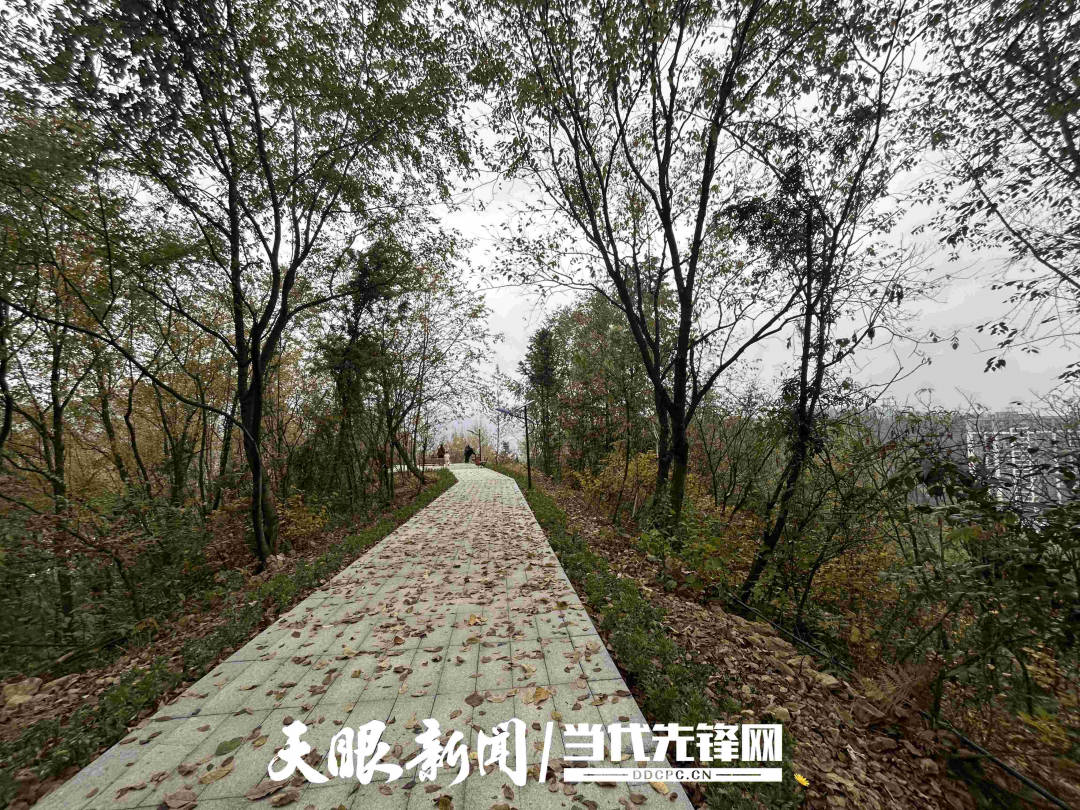 即将完工！毕节又添一全动休闲好去处！